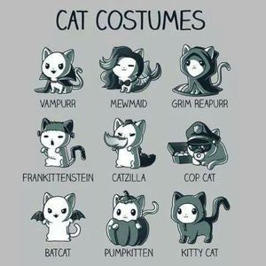 Meet your Posher, Sylvia